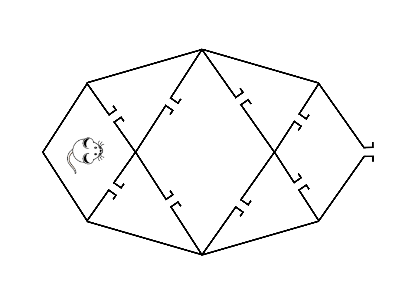 Can You Solve This Probability Math Puzzles?